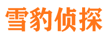 汶川市婚姻出轨调查